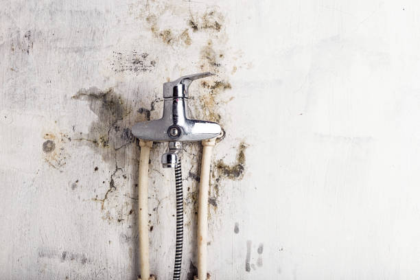 Best Bathroom Mold Remediation in Rockport, TX