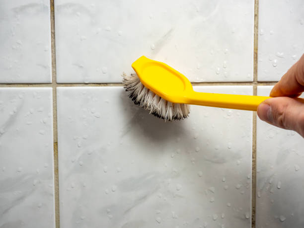 Best Residential Mold Remediation in Rockport, TX