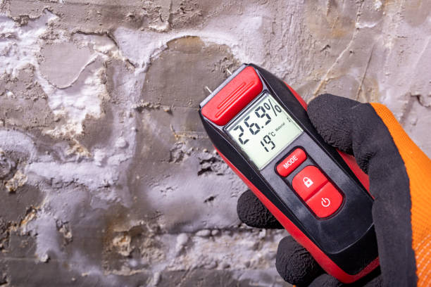 Best DIY Mold Remediation Support Services in Rockport, TX