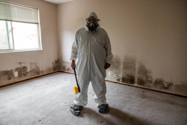 Best Post-Flood Mold Remediation in Rockport, TX